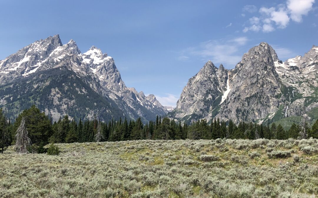 Grand Teton National Park: Amazing Views and Epic Wildlife