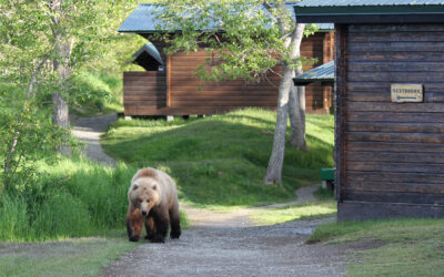 How to Enter the Brooks Lodge Lottery