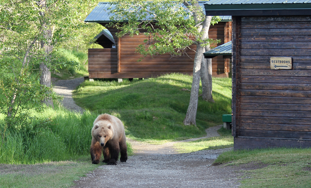 How to Enter the Brooks Lodge Lottery